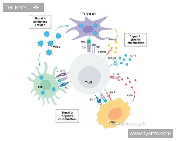 上海乒乓球队实力分析与发展潜力的深度探讨与展望